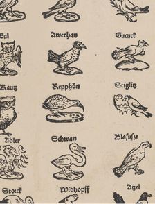 Modelbuch aller Art Nehens vn Stickens (Page 13r), 1535. Creator: Christian Egenolff