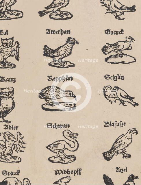 Modelbuch aller Art Nehens vn Stickens (Page 13r), 1535. Creator: Christian Egenolff.