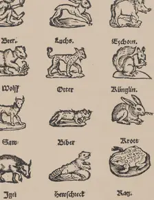 Modelbuch aller Art Nehens vn Stickens (Page 14r), 1535. Creator: Christian Egenolff