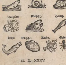 Modelbuch aller Art Nehens vn Stickens (Page 14r), 1535. Creator: Christian Egenolff
