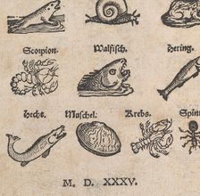 Modelbuch aller Art Nehens vn Stickens (Page 14r), 1535. Creator: Christian Egenolff