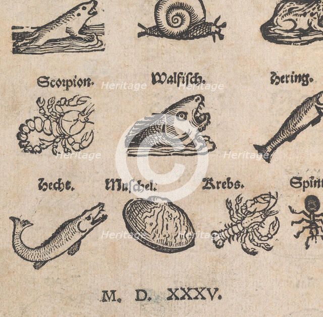 Modelbuch aller Art Nehens vn Stickens (Page 14r), 1535. Creator: Christian Egenolff.