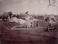 Models of Extinct Animals Crystal Palace, Sydenham, 1852-1854. Creator: Philip Henry Delamotte