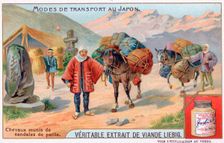 Modes of transport in Japan, 19th century