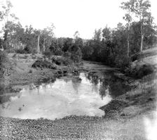 Moggill Creek near Brisbane, 1905. Creator: Ernest Melville