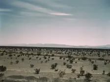 Mojave Desert country, crossed by Santa Fe R.R., Cadiz, Calif., 1943. Creator: Jack Delano