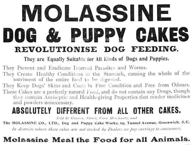 Molassine Dog & Puppy Cakes revolutionise dog feeding - equally suitable for all kinds of dogs, 1909 Creator: Unknown.