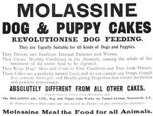 Molassine Dog & Puppy Cakes revolutionise dog feeding - equally suitable for all kinds of dogs, 1909 Creator: Unknown