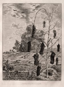 Moles, 1854, printed 1866. Creator: Félix Bracquemond (French, 1833-1914); Cadart & Luquet, 79 , rue Richelieu