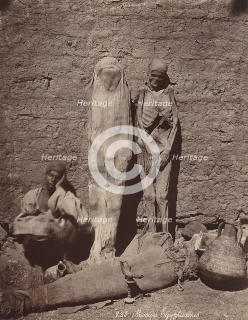 Momies Egyptiennes (Egyptian Mummies), c. 1870. Creator: Felix Bonfils.