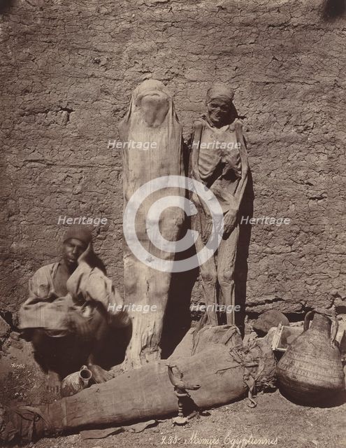 Momies Egyptiennes (Egyptian Mummies), c. 1870. Creator: Felix Bonfils.