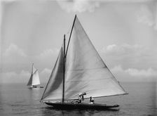 Momo, c1897. Creator: John S Johnston