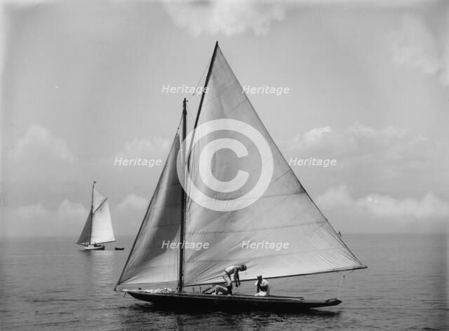 Momo, c1897. Creator: John S Johnston.