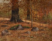 Monarch Beech, about 1900-1902. Creator: John Elwood Bundy