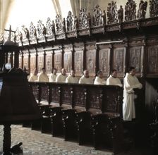 Monastery of Santa María de la Huerta, church, detail of the carved choir in walnut wood