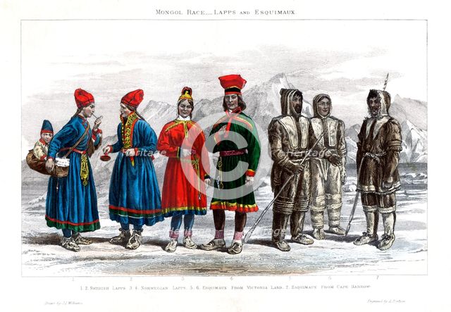 'Mongol Race, Lapps and Esquimaux', 1800-1900.Artist: A Portier