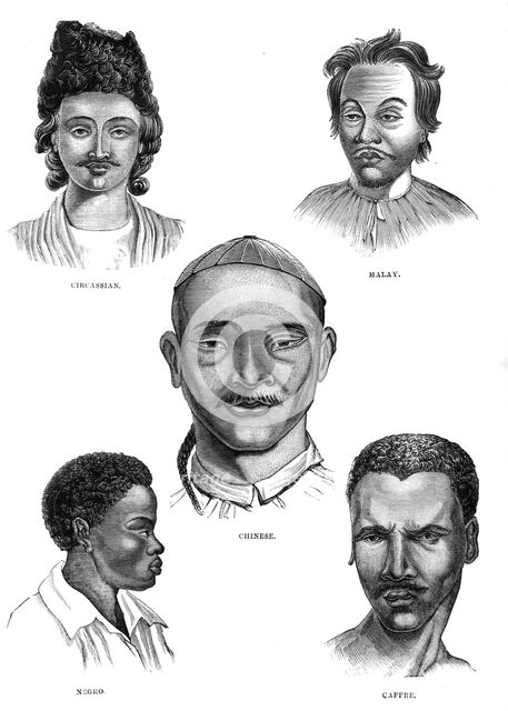 'Mongolian Races', 19th century. Artist: Unknown