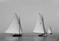 Mongoose, Midge, and Dipper, 1898 July 4. Creator: John S Johnston