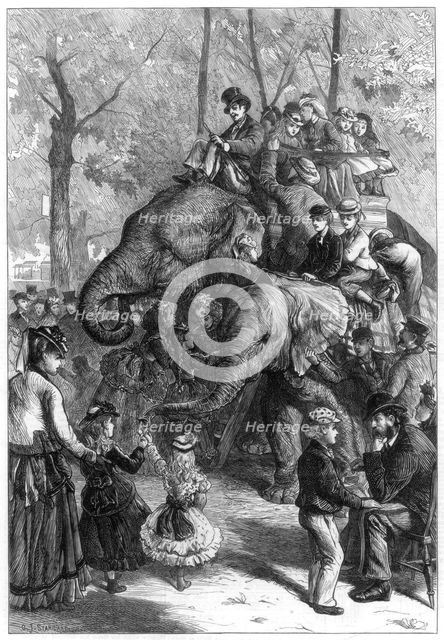 Monday afternoon at the zoological society's gardens, 1871.Artist: Charles Joseph Staniland