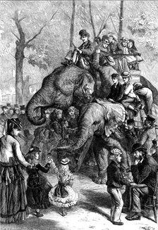 Monday afternoon at the Zoological Society's Gardens, 1871. Creator: Unknown