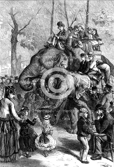 Monday afternoon at the Zoological Society's Gardens, 1871. Creator: Unknown.