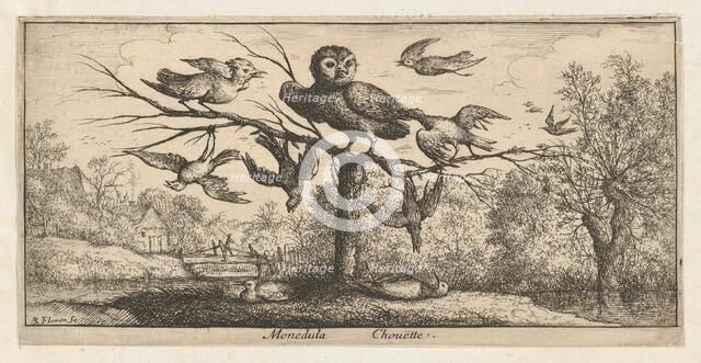 Monedula, Chouëtte (The Owl): Livre d'Oyseaux (Book of Birds), 1655-1660. Creator: albert flamen.