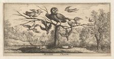 Monedula, Chouëtte (The Owl): Livre d'Oyseaux (Book of Birds), 1655-1660. Creator: albert flamen