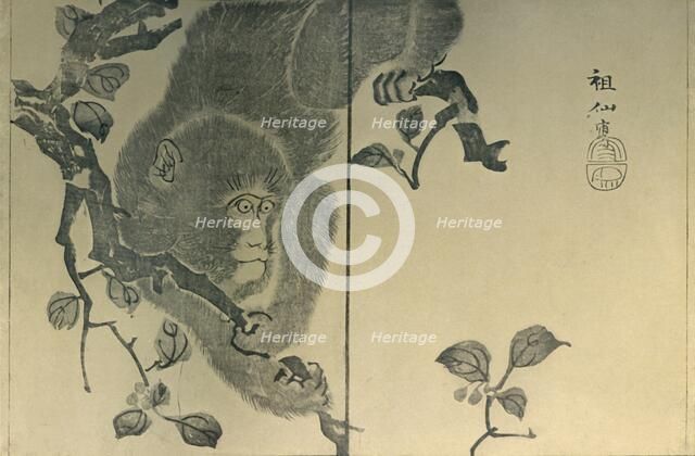 Monkey, 1815, (1924). Creator: Mori Sosen.