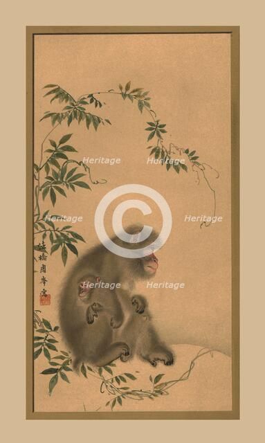 Monkey, 19th century, (1886). Artist: Unknown.