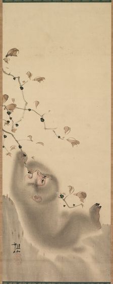 Monkey Hanging on to a Branch, 1780. Creator: Mori Sosen (Japanese, 1747-1821)