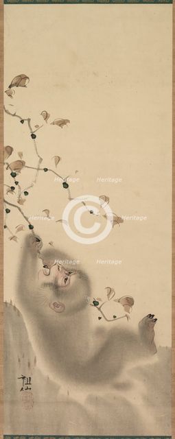 Monkey Hanging on to a Branch, 1780. Creator: Mori Sosen (Japanese, 1747-1821).