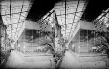 Monkey House, Zoological Gardens, Regent's Park, Westminster, London, c1870-1900. Artist: York & Son