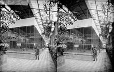 Monkey House, Zoological Gardens, Regent's Park, Westminster, London, c1870-1900. Artist: York & Son