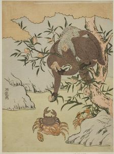 Monkey playing with crabs, c. 1772. Creator: Isoda Koryusai