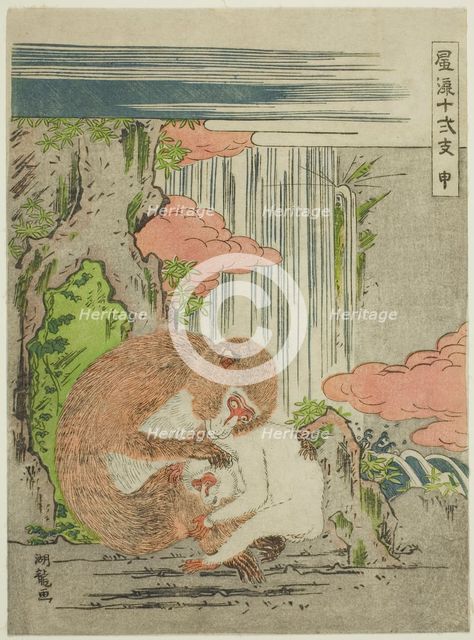 Monkey (Saru), from the series "Fashionable Twelve Signs of the Zodiac (Furyu...", c. 1773/75. Creator: Isoda Koryusai.