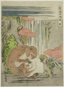 Monkey (Saru), from the series "Fashionable Twelve Signs of the Zodiac (Furyu...", c. 1773/75. Creator: Isoda Koryusai