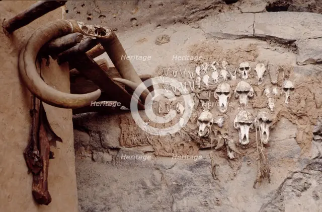 Monkey skulls, Bandiagara Escarpment, Pays Dogon, Mali, 1990. Creator: Amanda Waite.