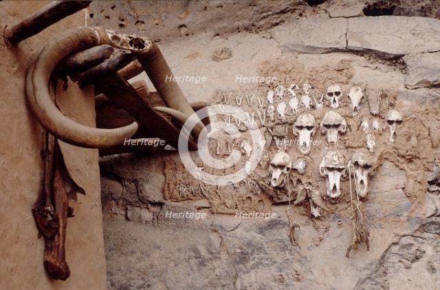 Monkey skulls, Bandiagara Escarpment, Pays Dogon, Mali, 1990. Creator: Amanda Waite.