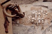 Monkey skulls, Bandiagara Escarpment, Pays Dogon, Mali, 1990. Creator: Amanda Waite