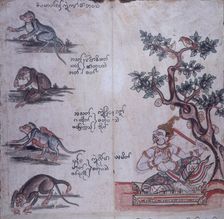 Monkeys and a Buddhist deity, c1700-c1820. Creator: Unknown