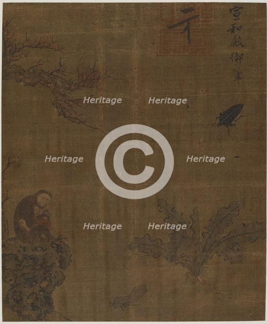 Monkeys, insects, and cabbage, Possibly Ming dynasty, 1368-1644. Creator: Unknown.