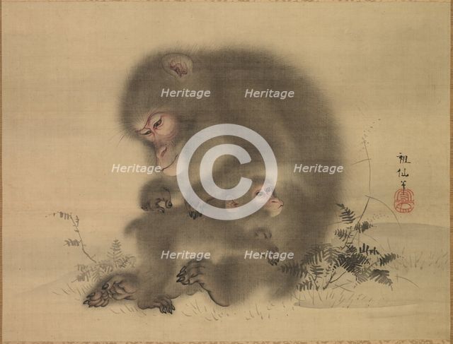Monkeys, late 18th-early 19th century. Creator: Mori Sosen (Japanese, 1747-1821).