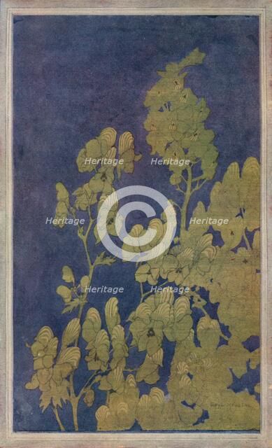 'Monk's-Hood', c1922. Artist: Harriet Sibyl Meugen.