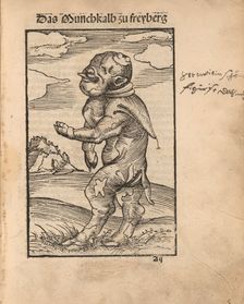 Monk Calf of Freiberg (Das Mönchskalb zu Freiberg), 1523