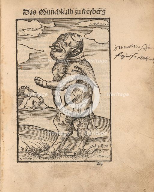 Monk Calf of Freiberg (Das Mönchskalb zu Freiberg), 1523.