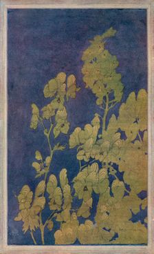 Monk's-Hood c1922. Artist: Harriet Sibyl Meugen
