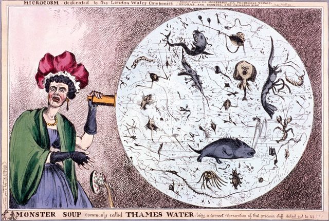 'Monster soup commonly called Thames water...', 1828. Creator: William Heath.
