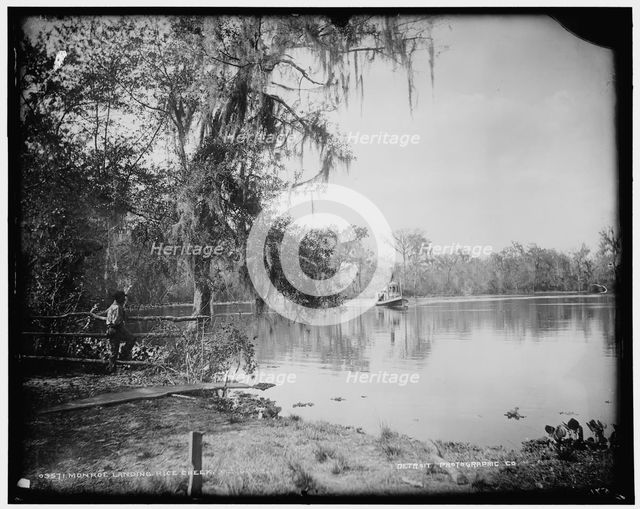 Monroe landing, Rice Creek, between 1880 and 1897. Creator: William H. Jackson.