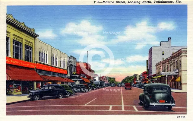 Monroe Street, looking north, Tallahassee, Florida, USA. Artist: Unknown