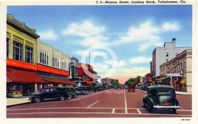 Monroe Street, looking north, Tallahassee, Florida, USA. Artist: Unknown